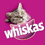 Whiskas YouTube thumbnail