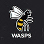 Wasps Rugby YouTube channel avatar 