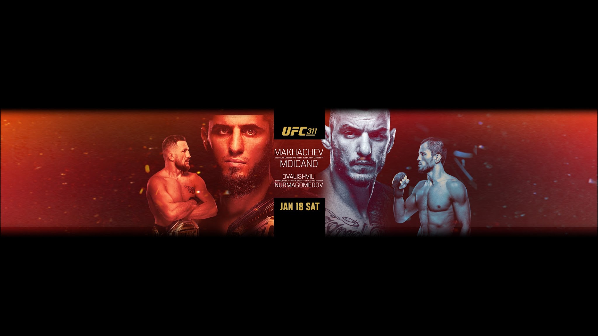 UFC YouTube banner