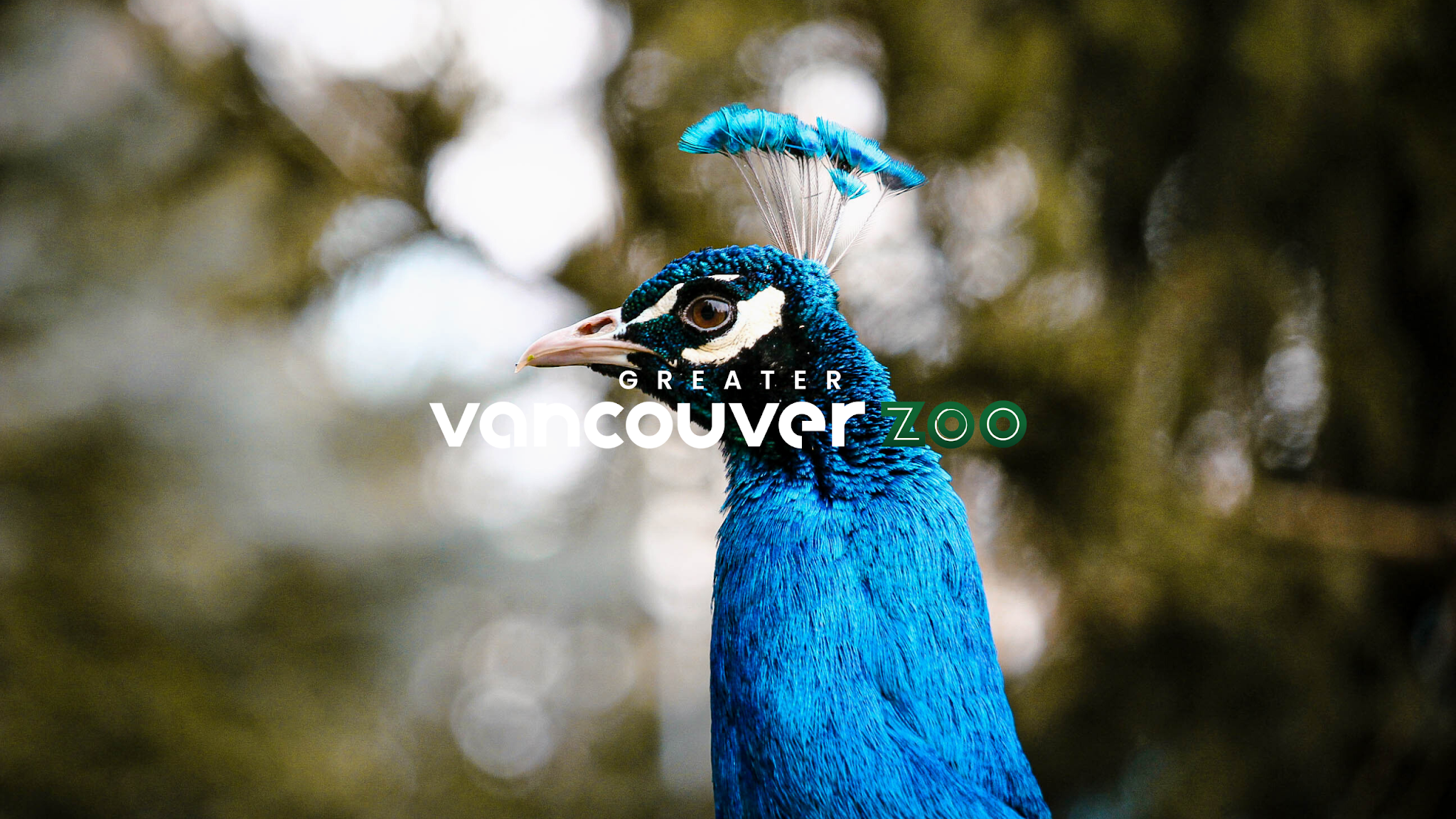 Greater Vancouver Zoo YouTube banner