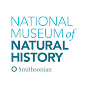 Smithsonian's National Museum of Natural History YouTube channel avatar 