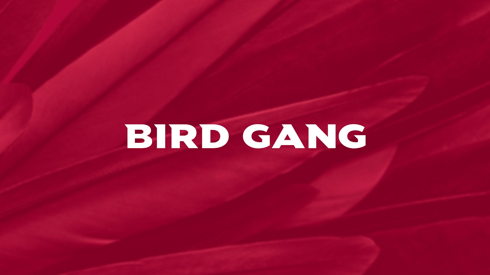 Arizona Cardinals YouTube banner