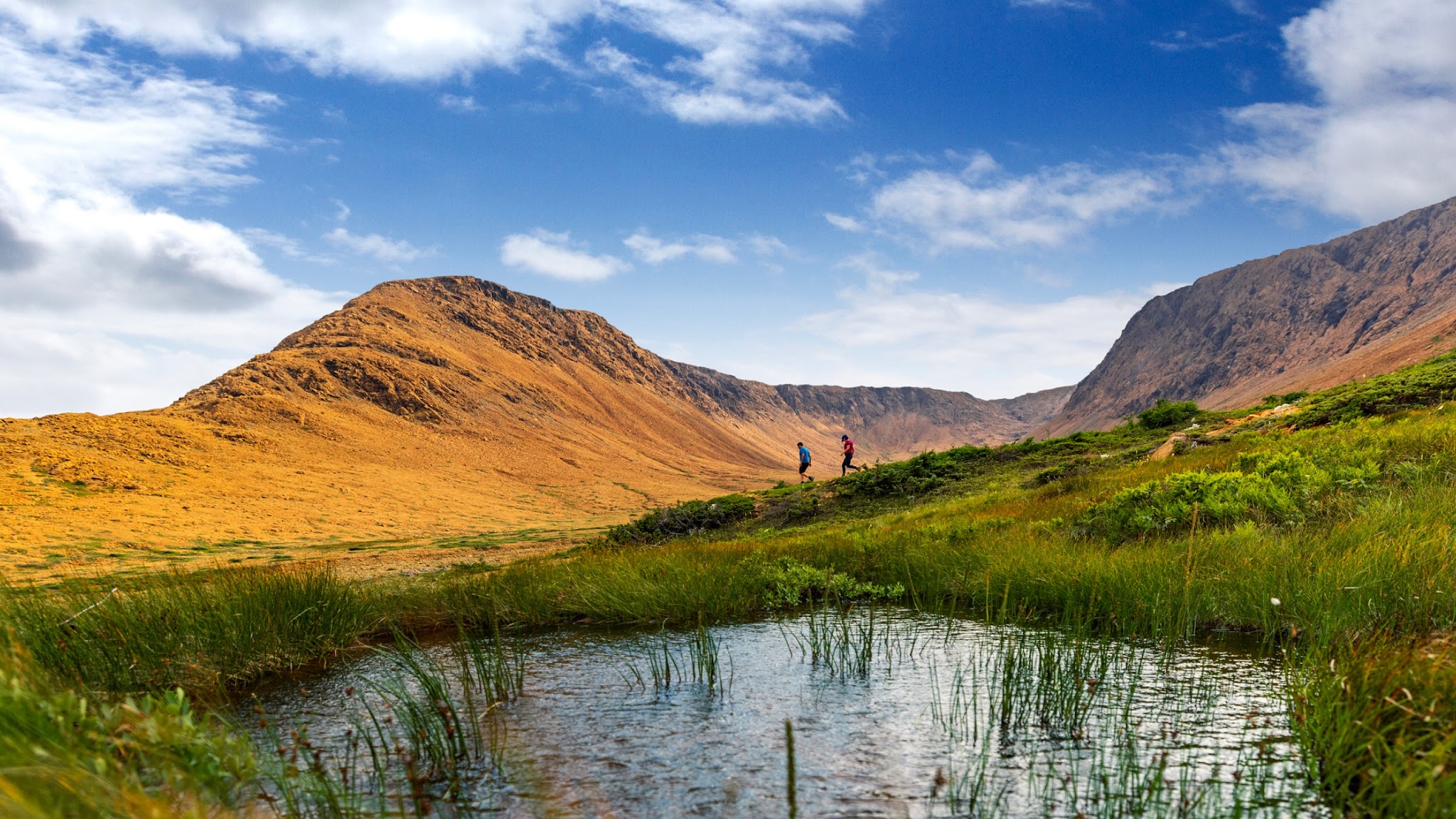 Newfoundland & Labrador Tourism YouTube banner