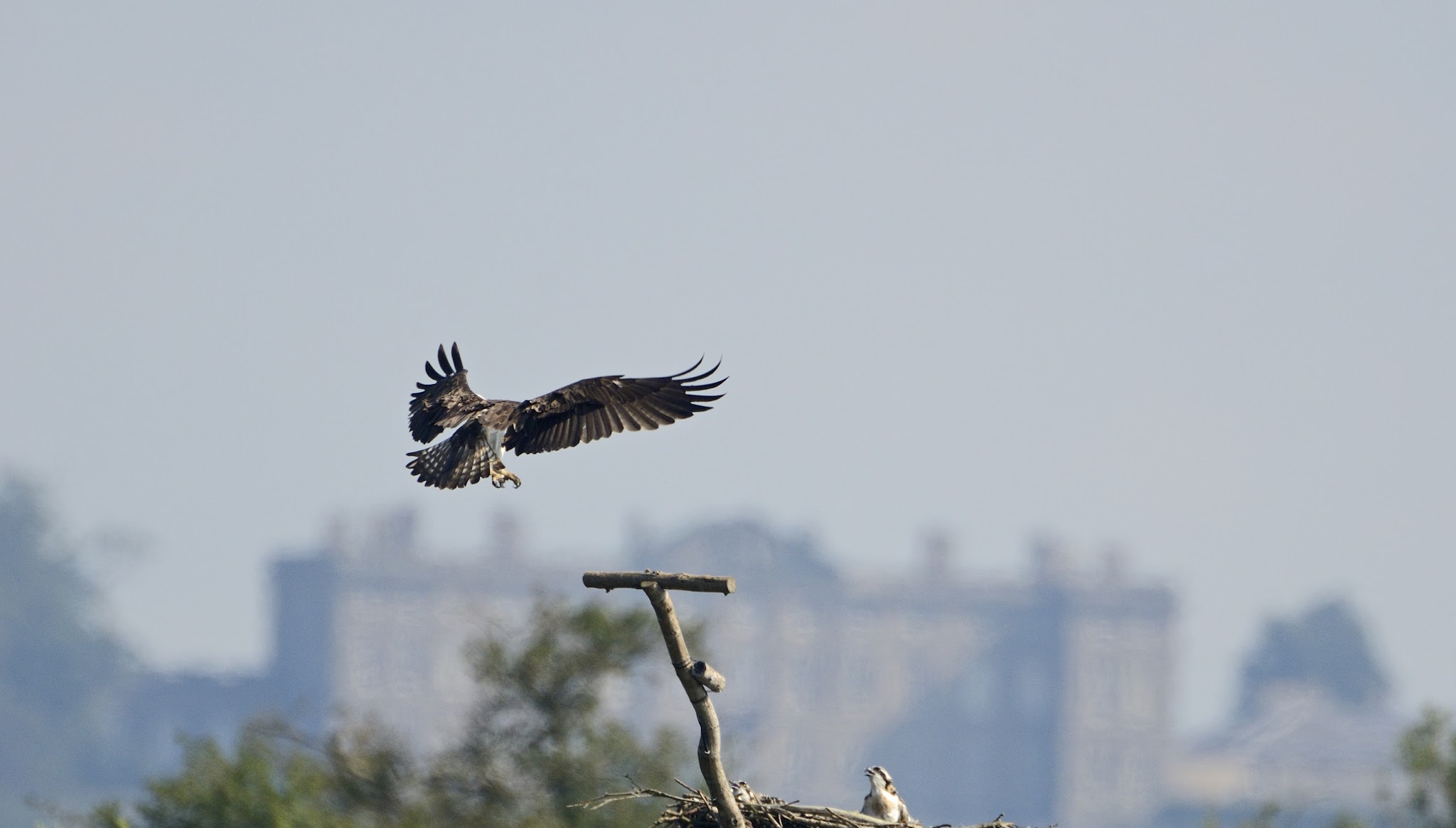 The Wildlife Trusts YouTube banner