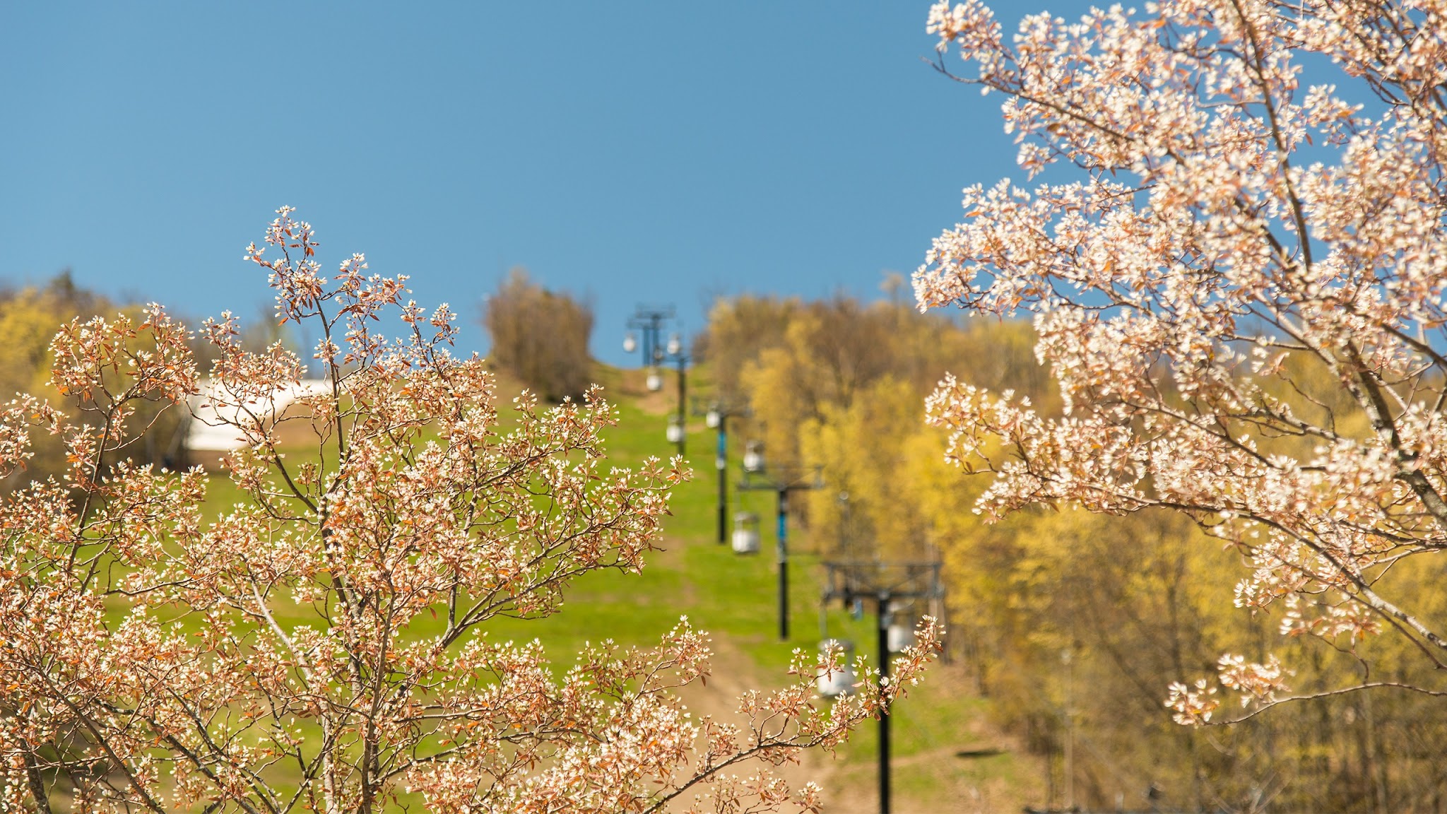 Blue Mountain Resort YouTube banner