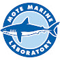 Mote Marine Laboratory & Aquarium YouTube thumbnail