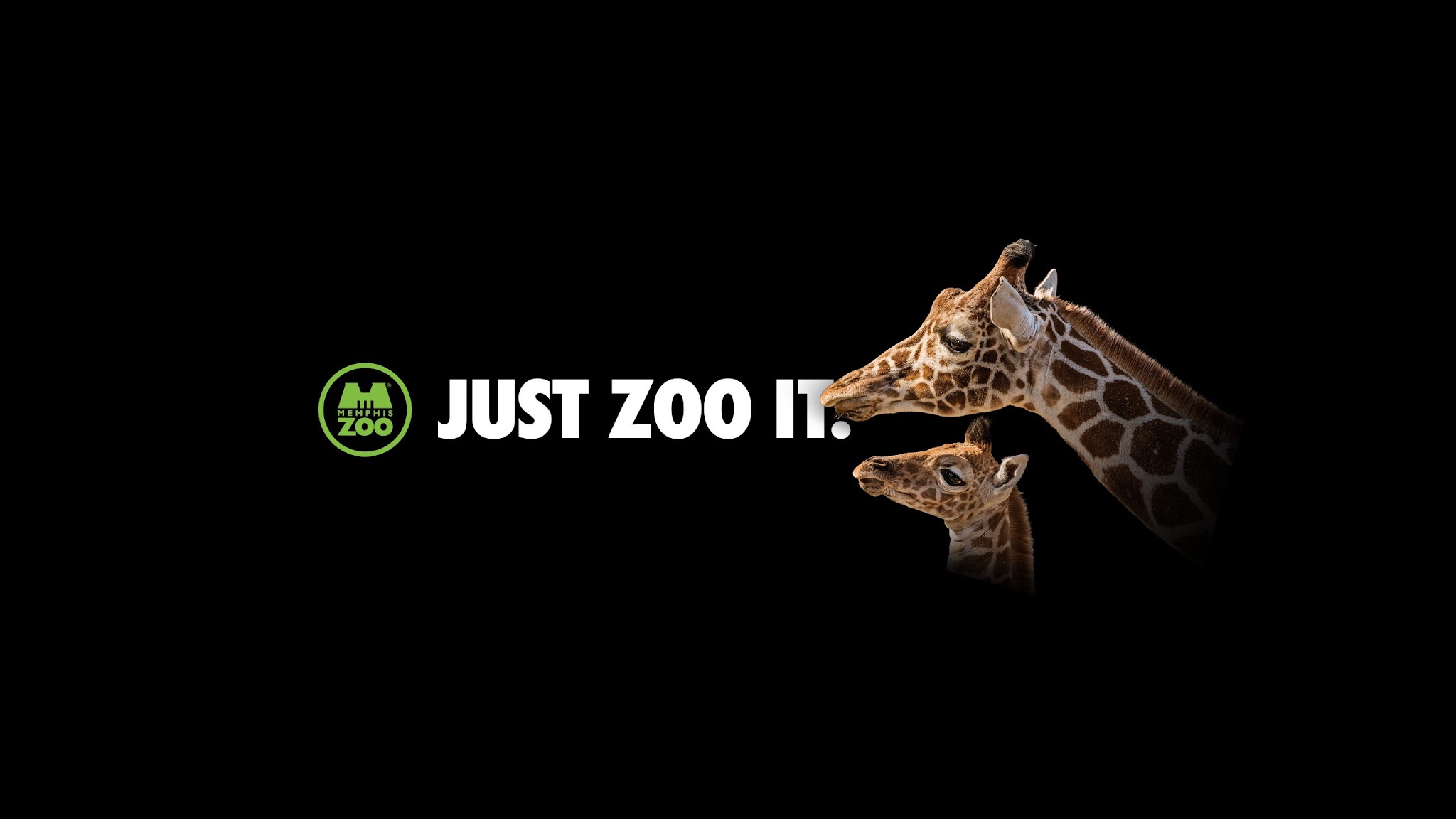 Memphis Zoo YouTube banner