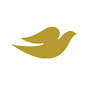 Dove US YouTube channel avatar 