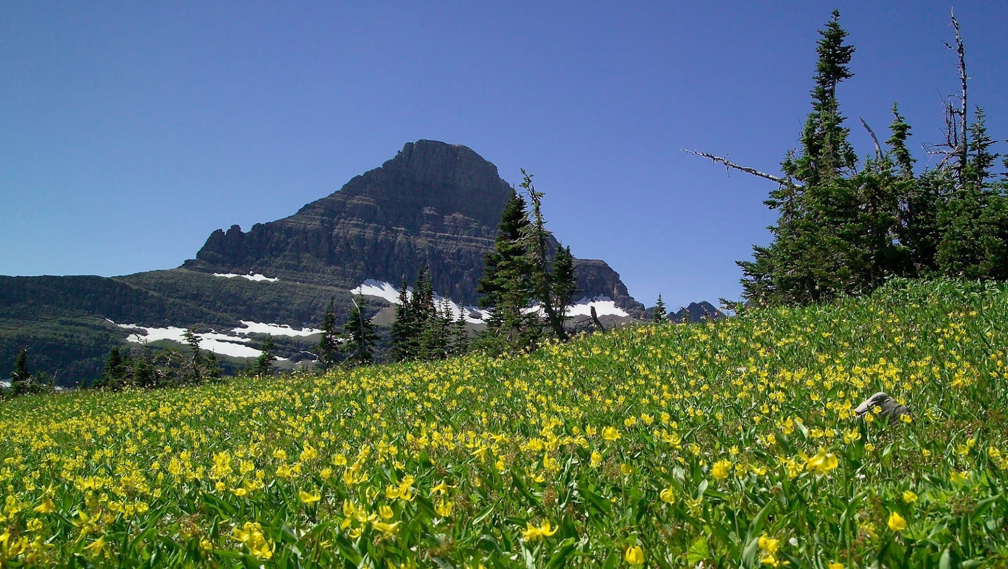 GlacierNPS YouTube banner