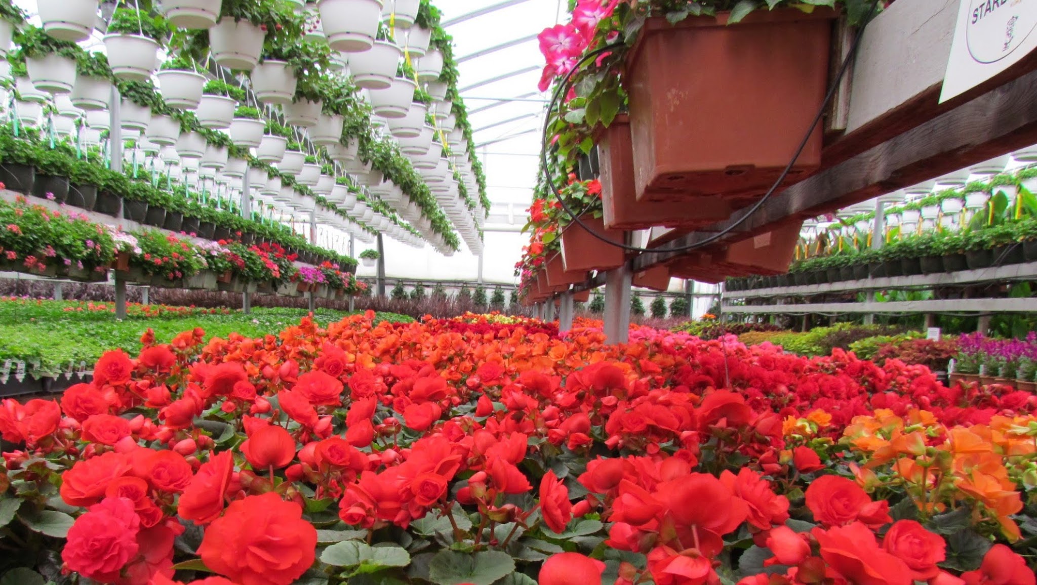 The Greenery Garden Centre YouTube banner