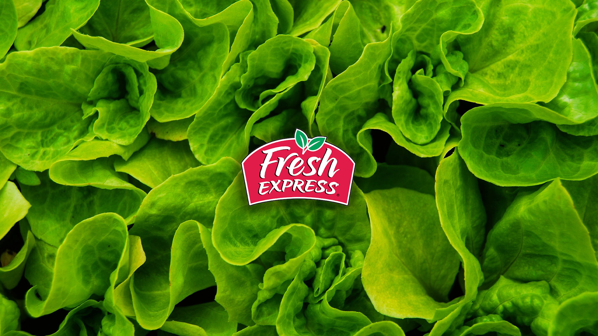 Fresh Express Salads YouTube banner