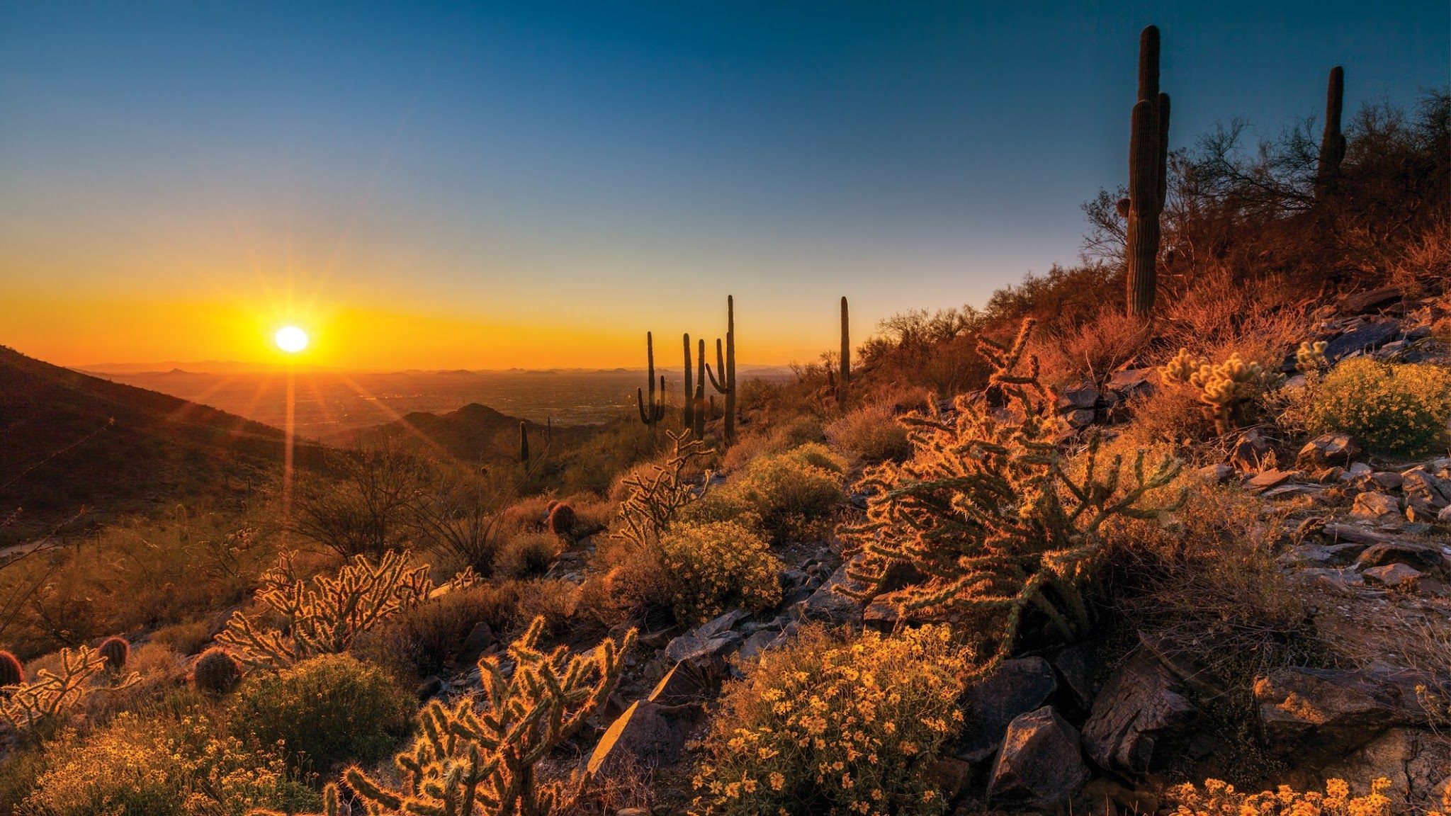 Scottsdale, AZ YouTube banner