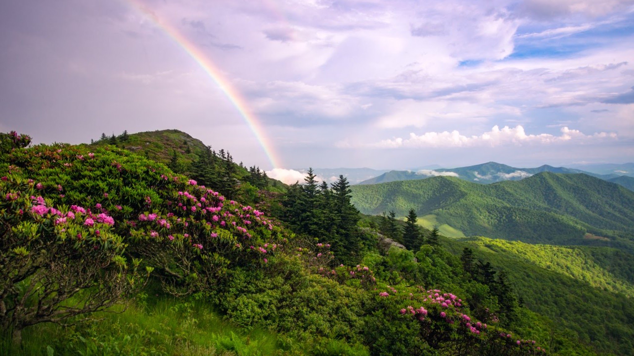 Asheville YouTube banner