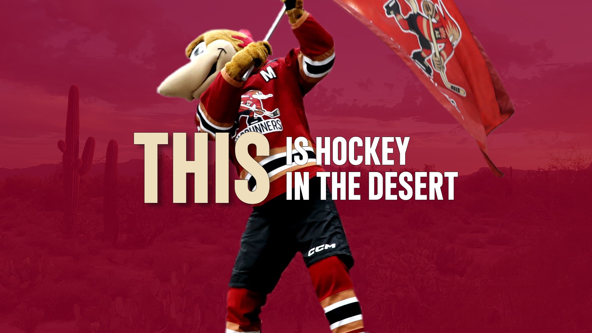 Tucson Roadrunners YouTube banner