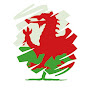 Welsh Conservatives YouTube channel avatar 