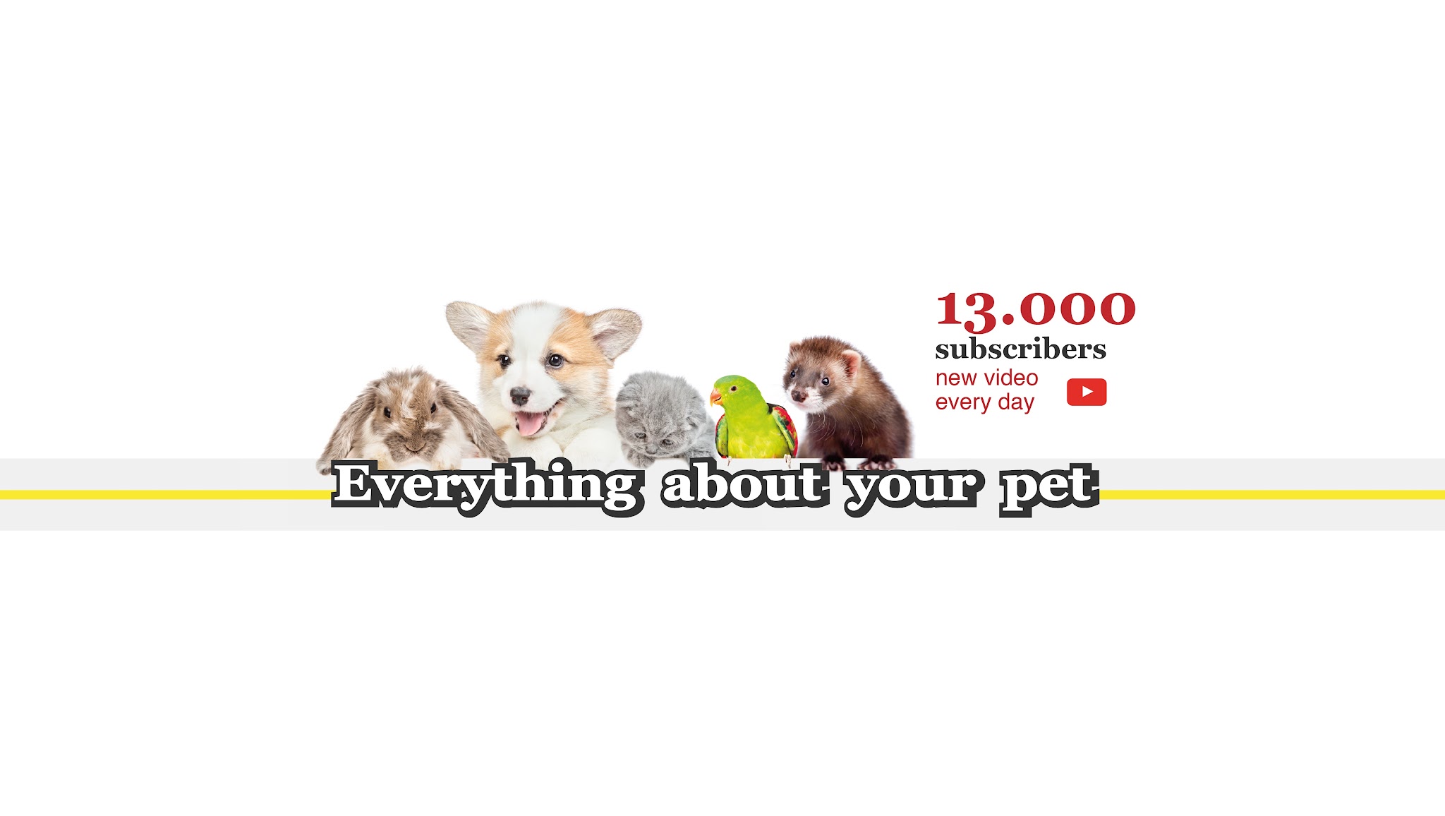 Everything about your pet YouTube banner