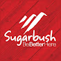 Sugarbush Vermont YouTube channel avatar 