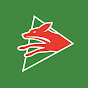 Foxes TV YouTube channel avatar 