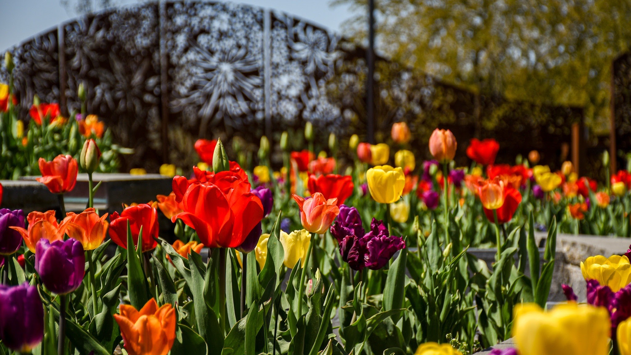 New England Botanic Garden at Tower Hill YouTube banner