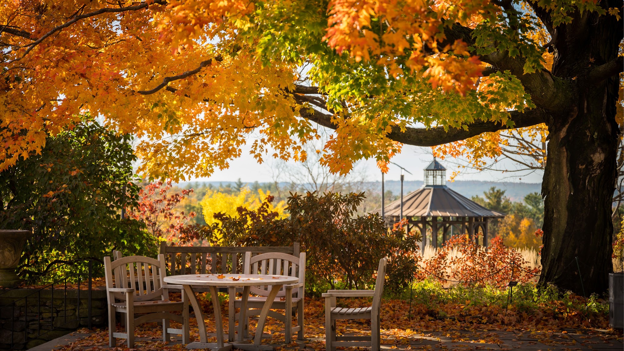 New England Botanic Garden at Tower Hill YouTube banner