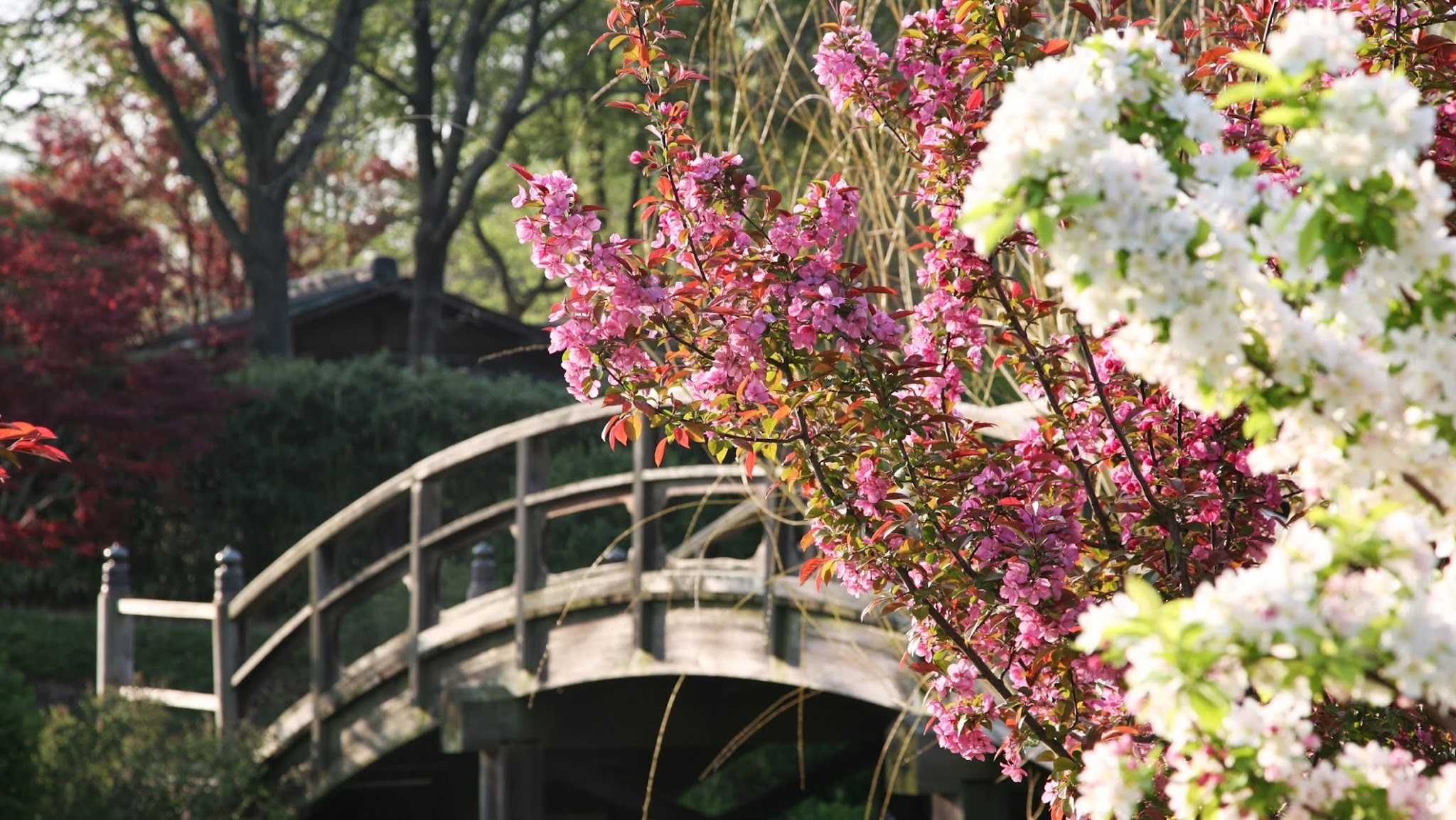 Missouri Botanical Garden YouTube banner