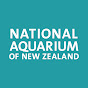 NationalAquariumOfNZ YouTube channel avatar 