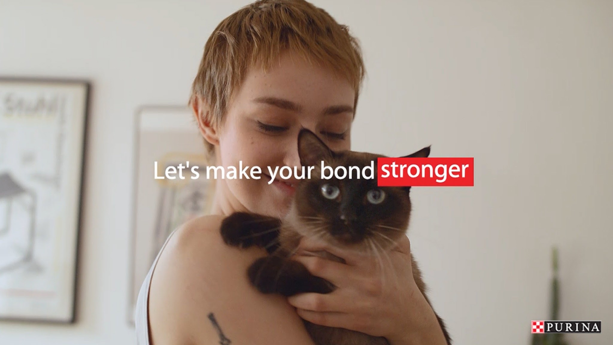 Purina UK & Ireland YouTube banner