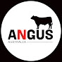 Angus Australia YouTube channel avatar 