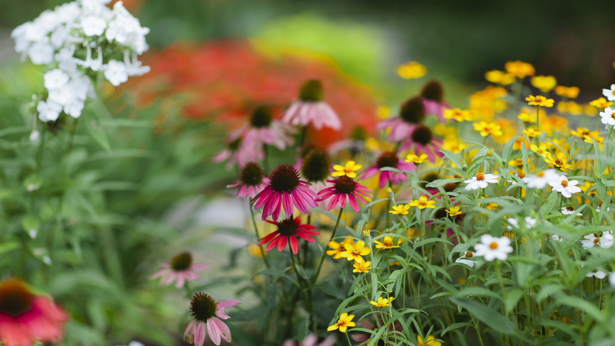 Birmingham Botanical Gardens YouTube banner