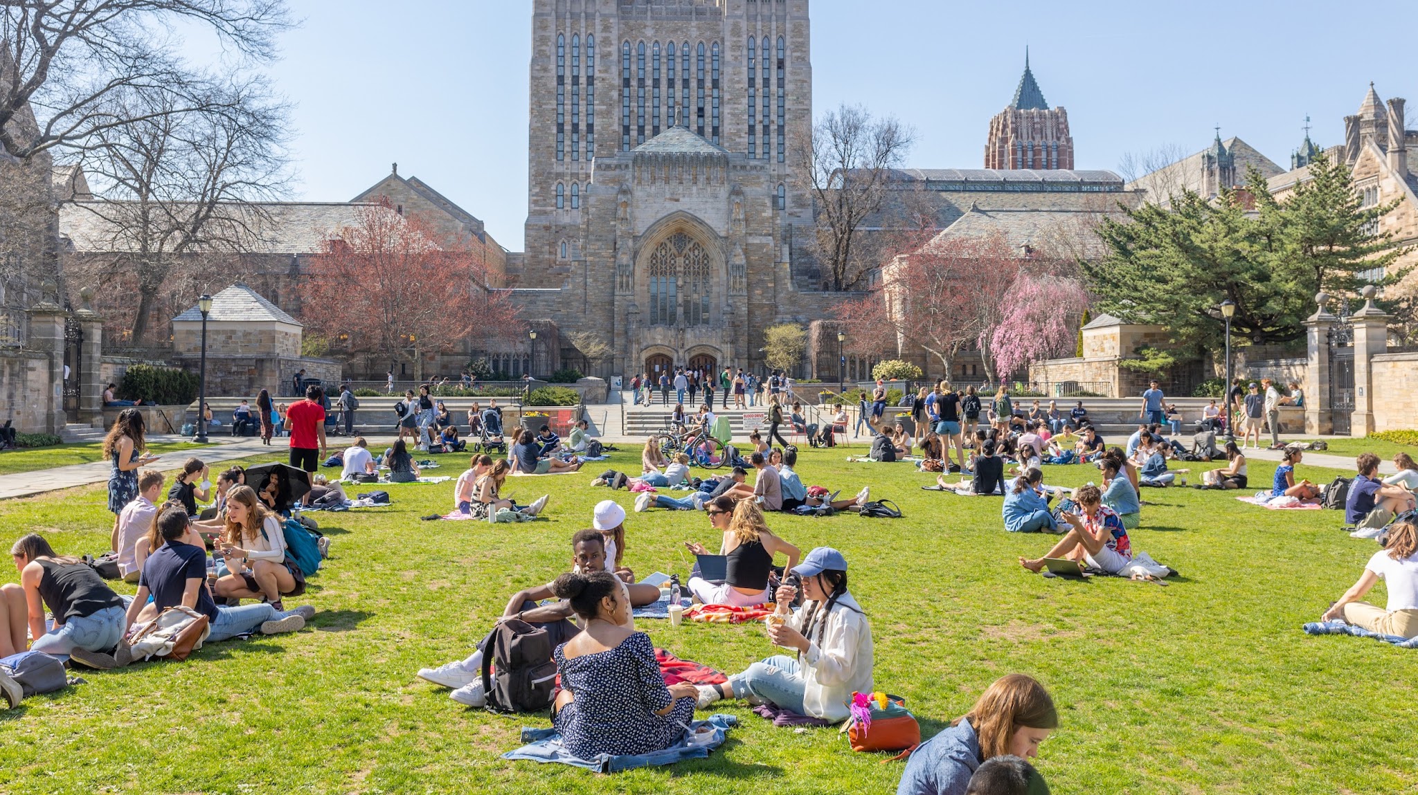 Yale University Channels YouTube banner