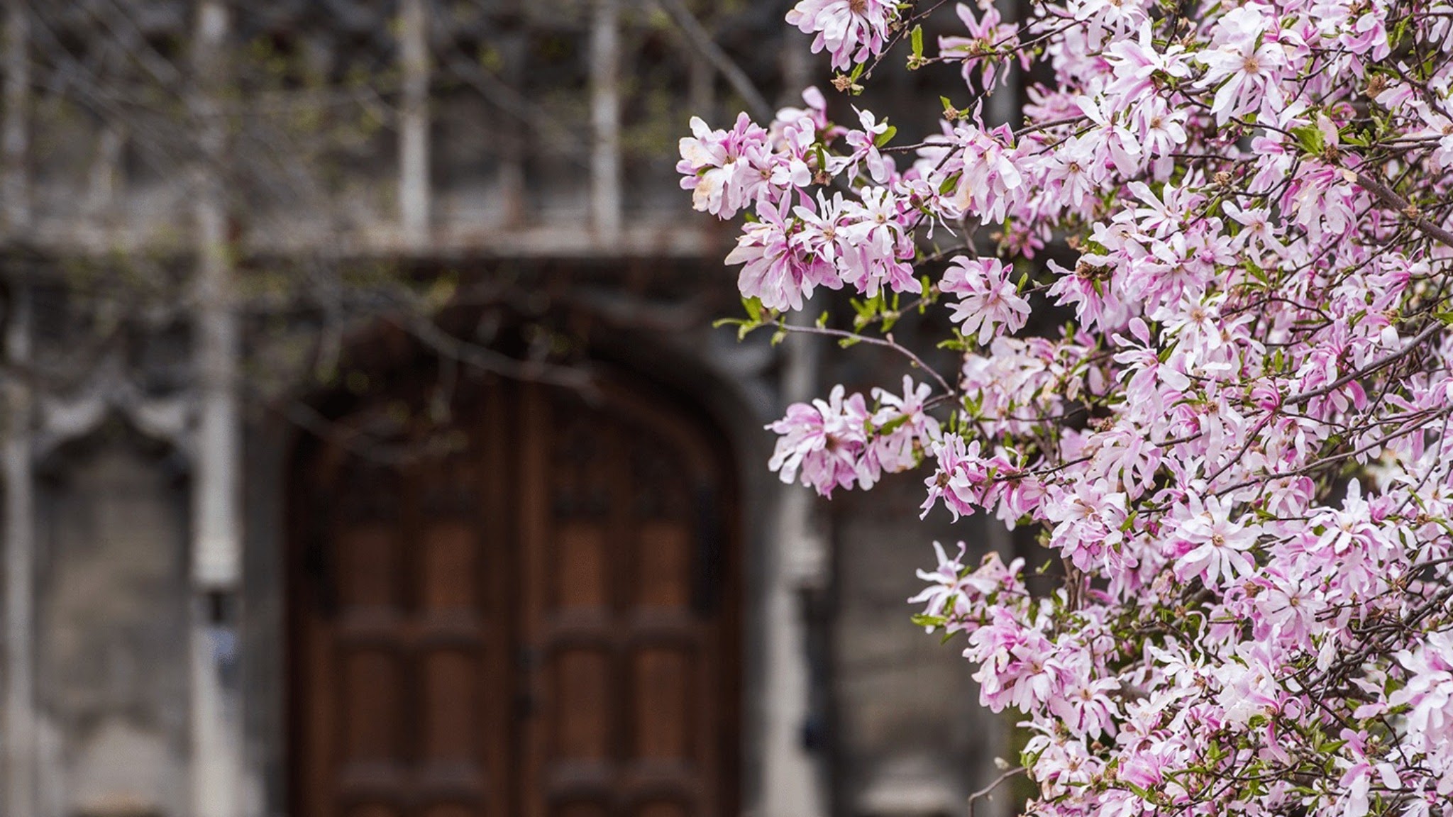 The University of Chicago YouTube banner