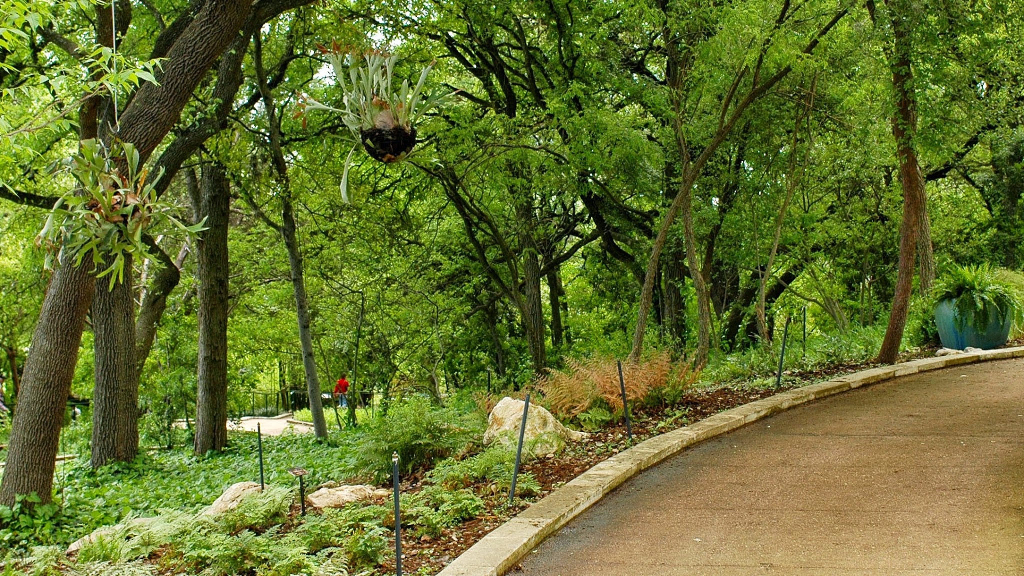 Austin Parks and Recreation YouTube banner