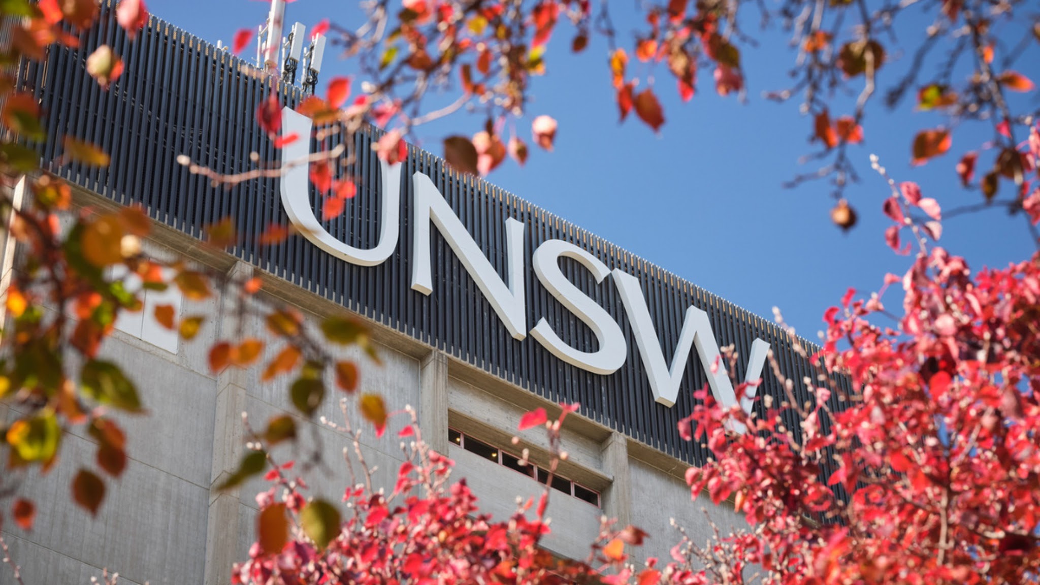 UNSW YouTube banner