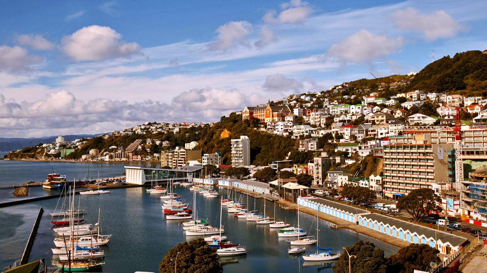 Wellington City Council YouTube banner