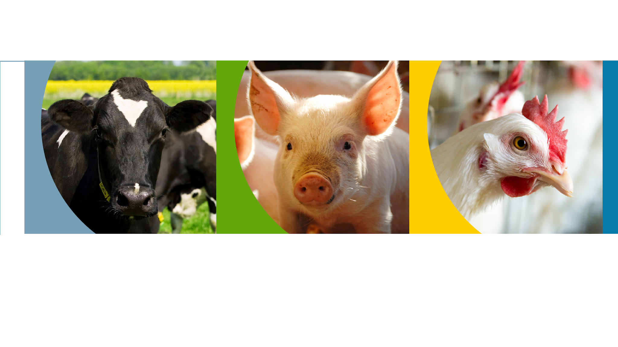 IDEXX Europe Livestock, Poultry & Dairy YouTube banner