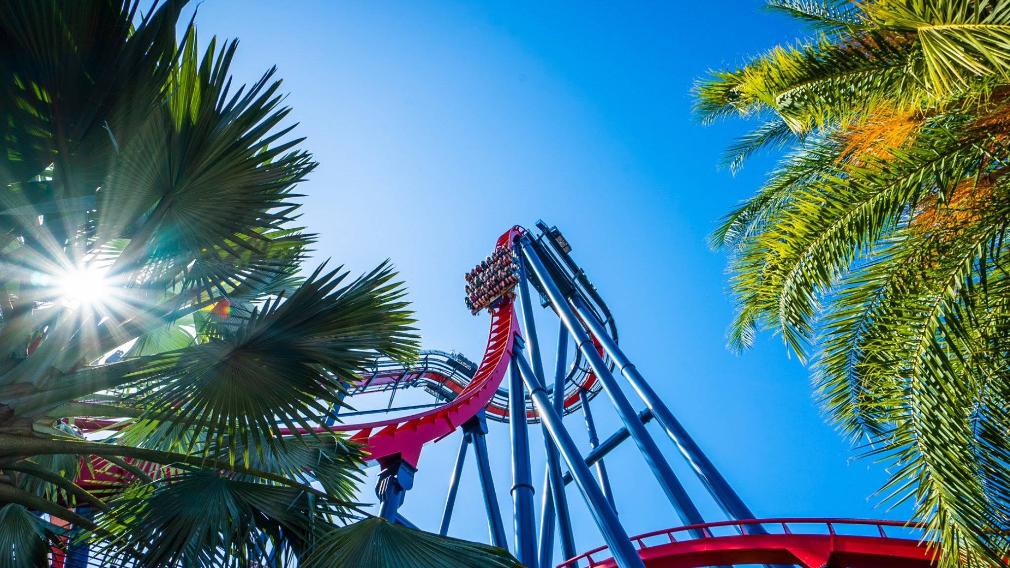 Busch Gardens Tampa Bay & Adventure Island YouTube banner