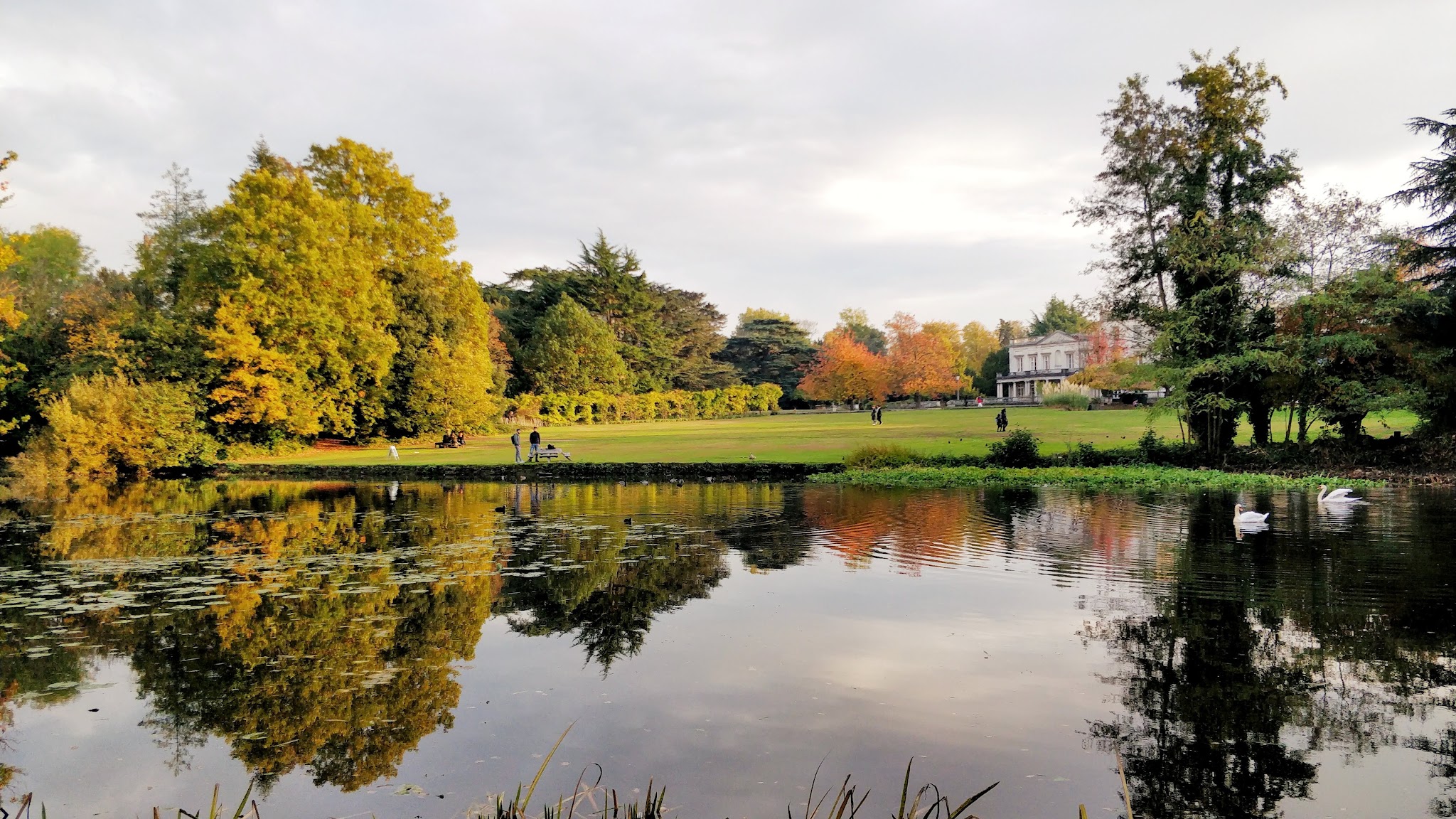 University of Roehampton YouTube banner