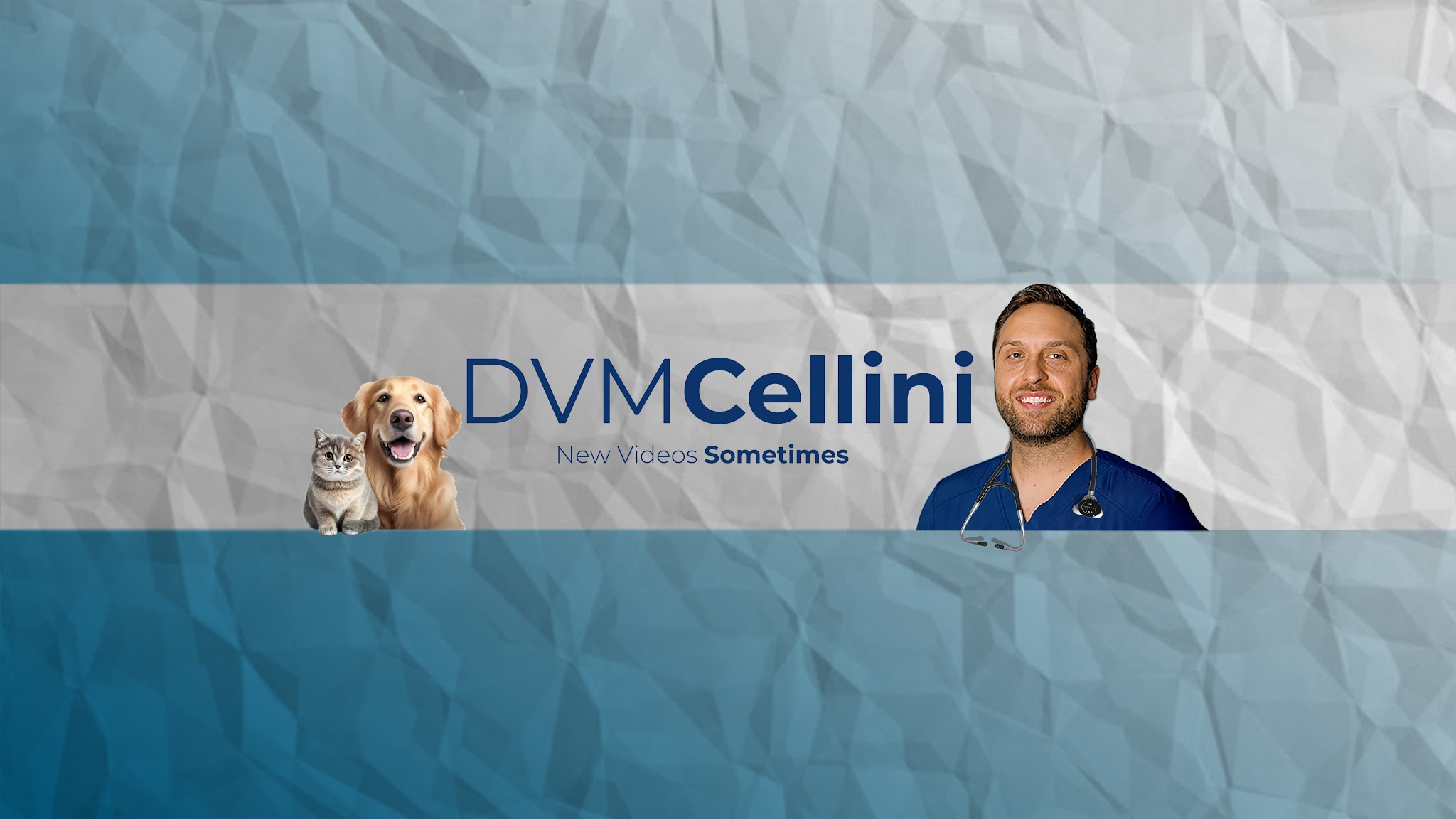 DVMCellini YouTube banner