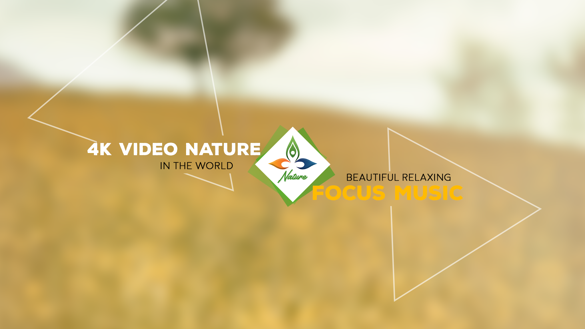 4K Video Nature - Focus Music YouTube banner