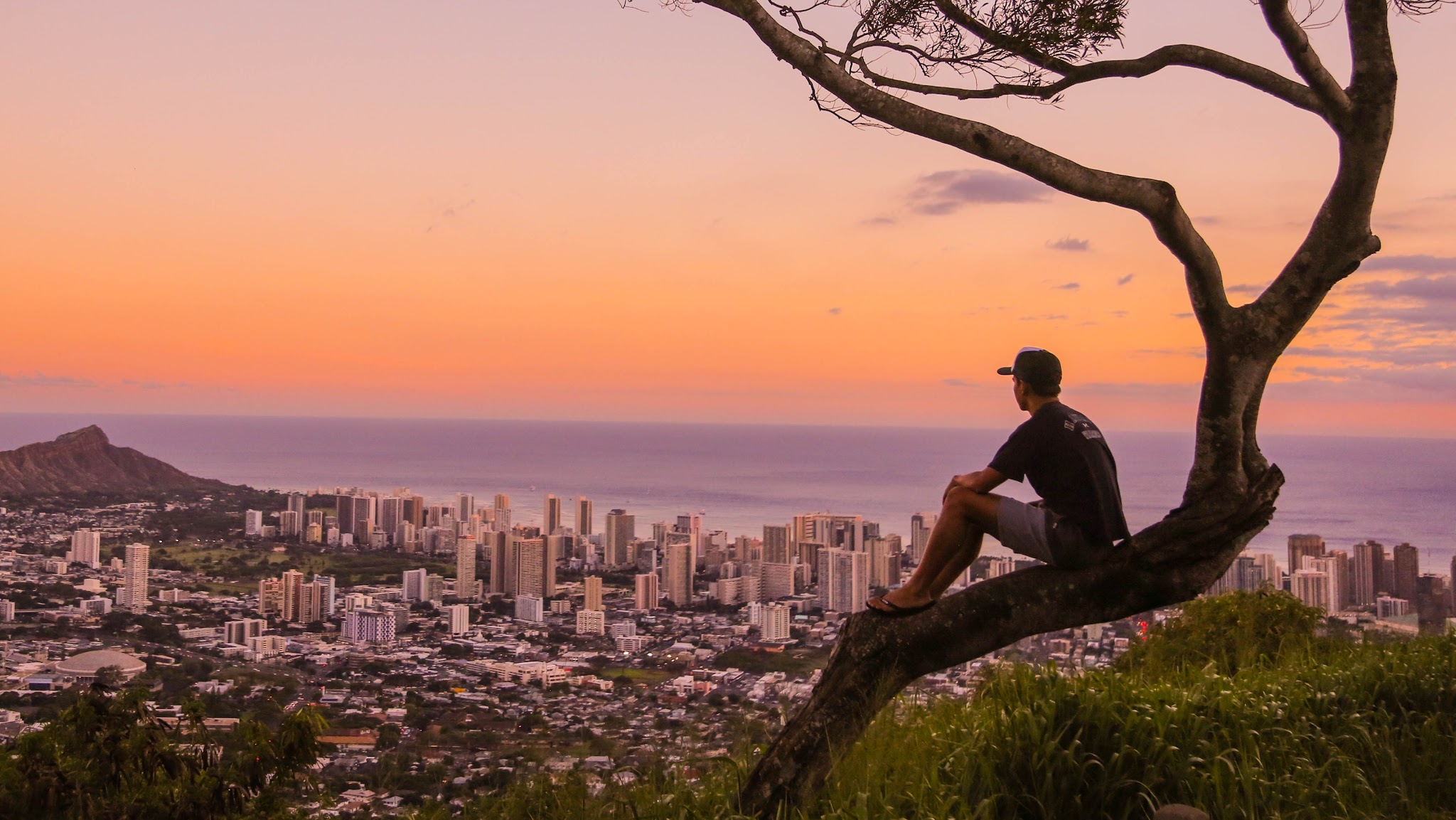 University of Hawaii at Mānoa YouTube banner