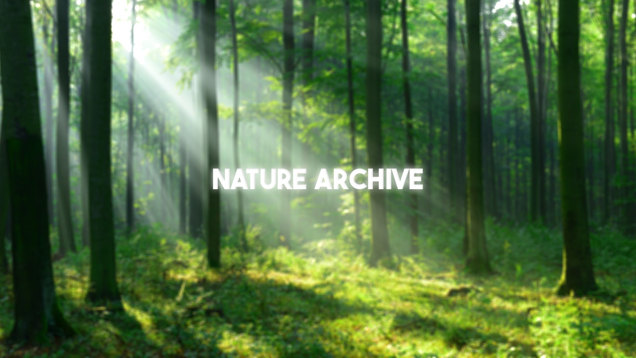 Nature Archive YouTube banner