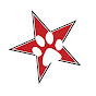 All-Star Veterinary Clinic YouTube channel avatar 