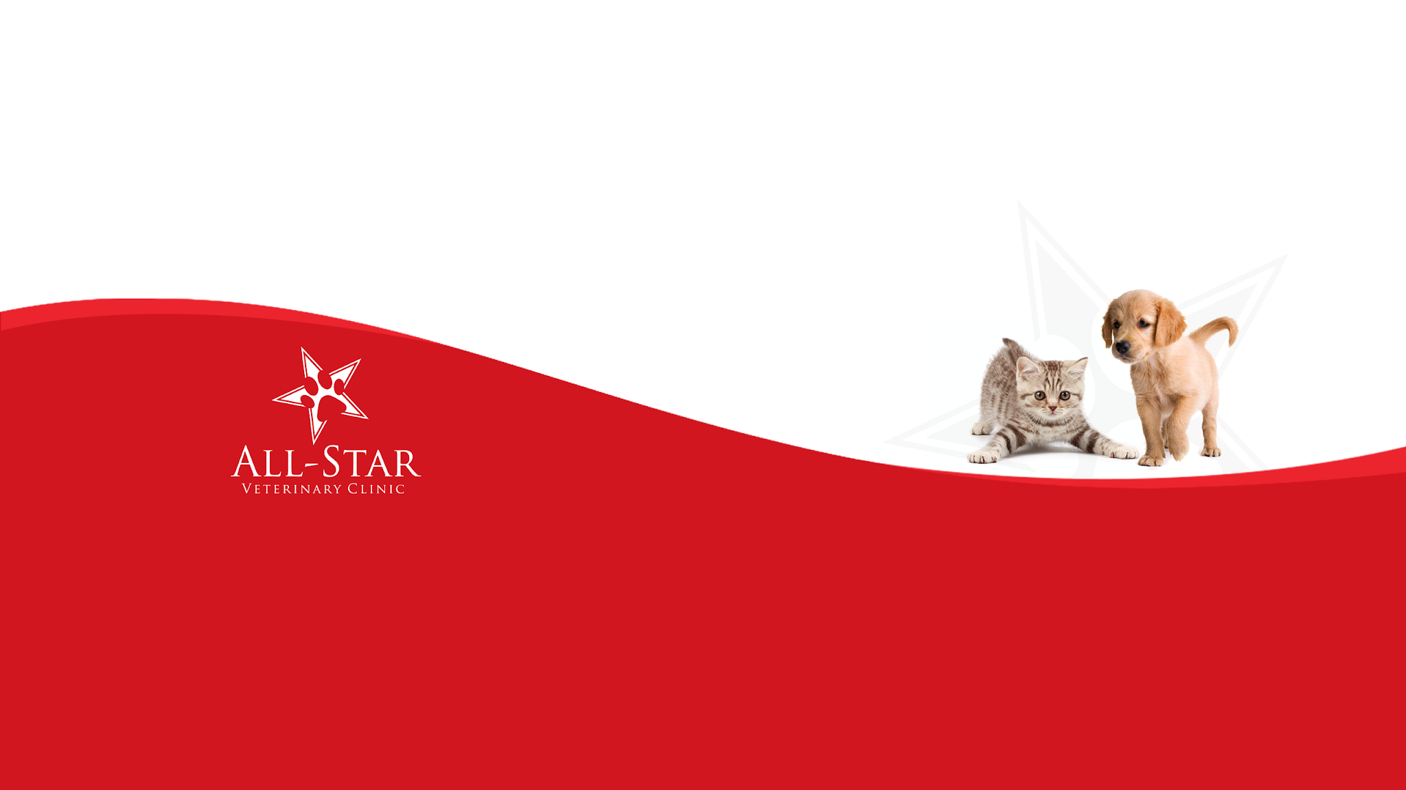 All-Star Veterinary Clinic YouTube banner