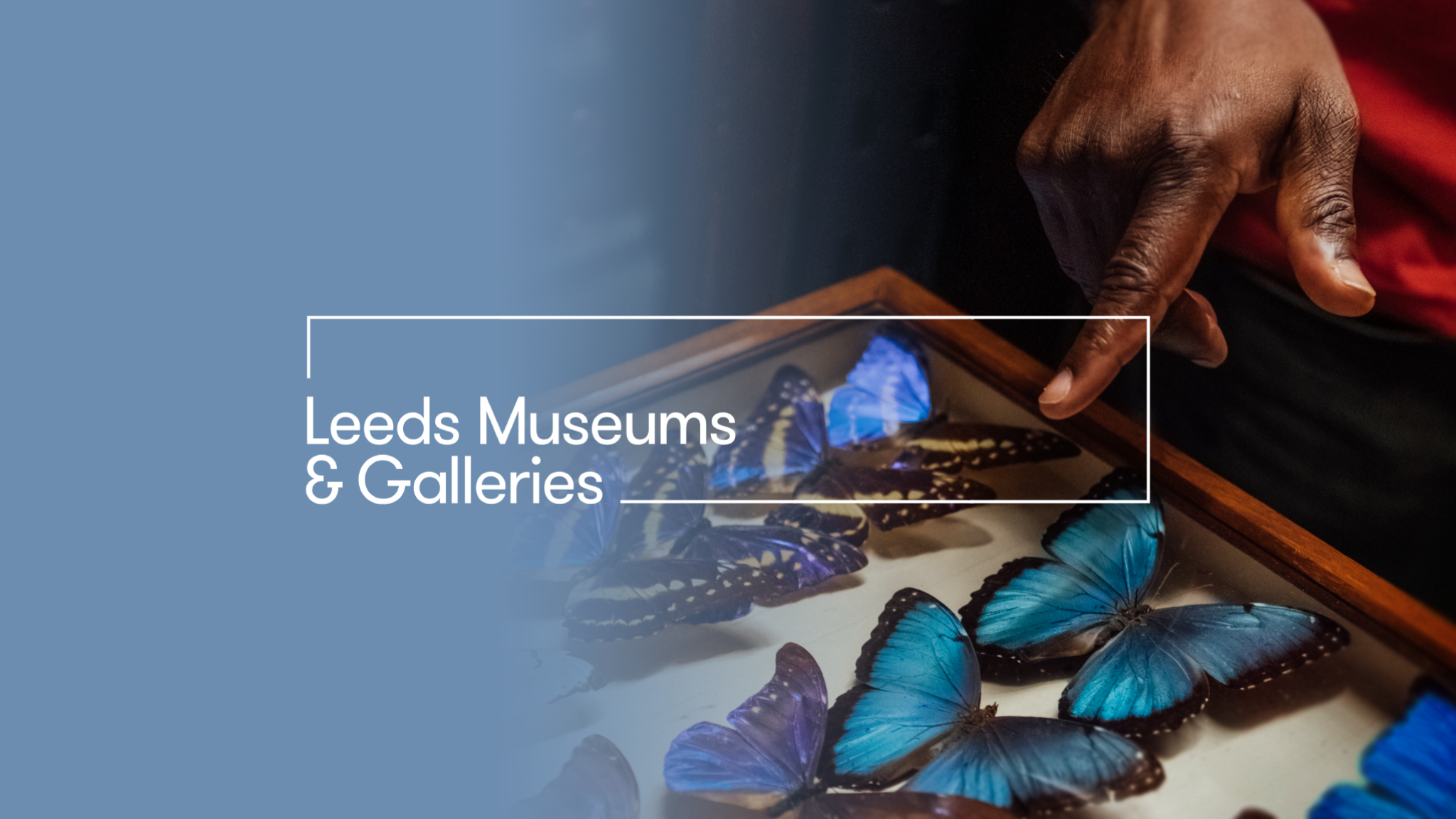 leedsmuseums YouTube banner