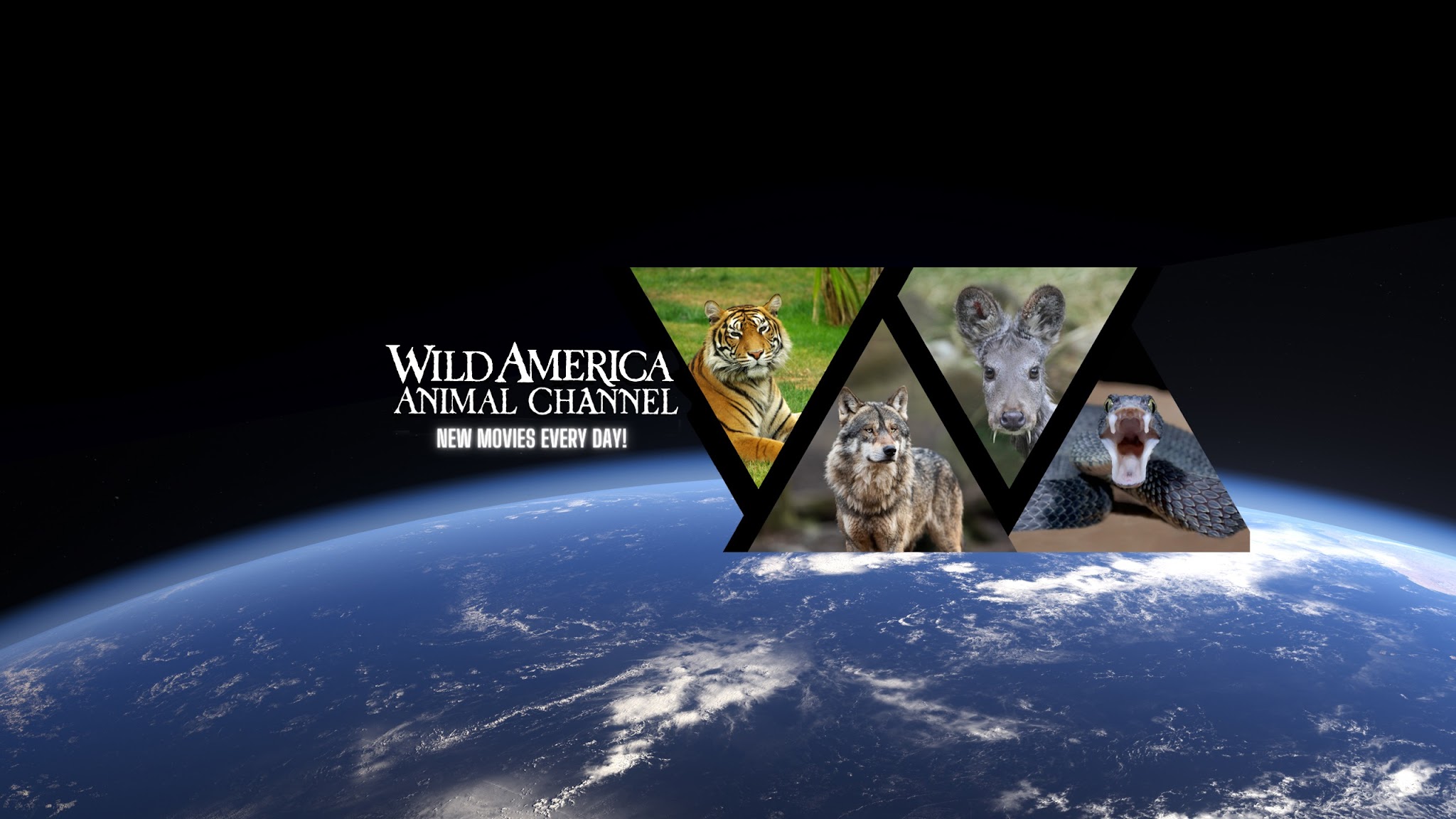 Wild America Animal Channel YouTube banner