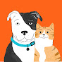 Zoetis Petcare YouTube channel avatar 