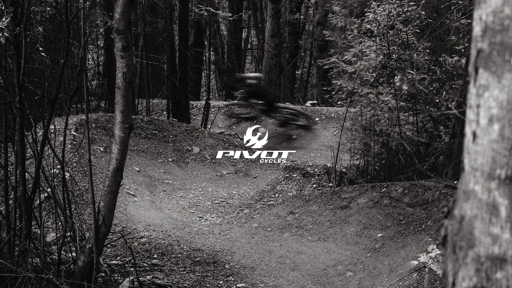 Pivot Cycles YouTube banner