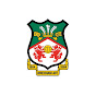 Wrexham AFC YouTube thumbnail