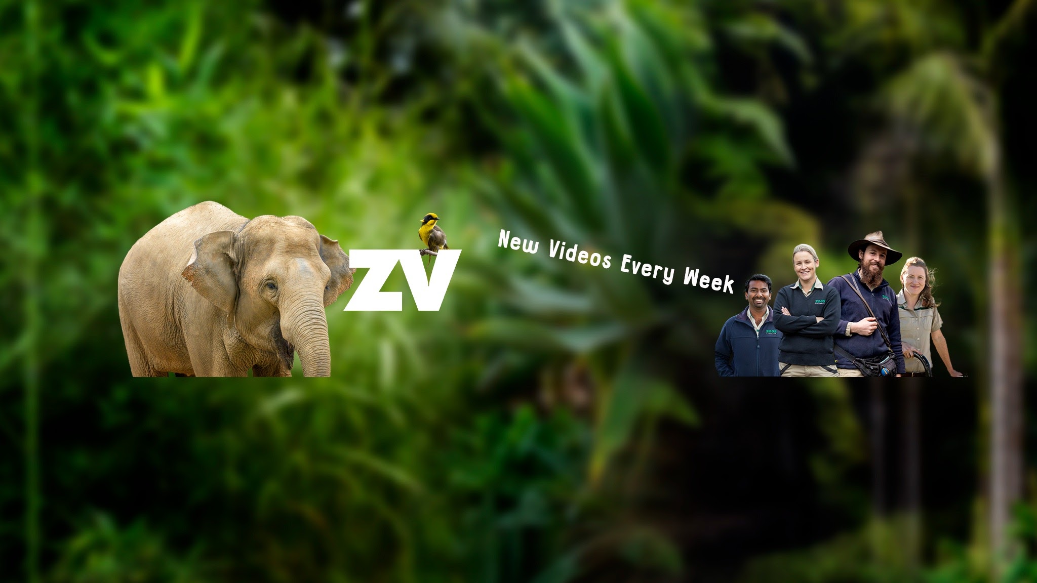 Zoos Victoria YouTube banner