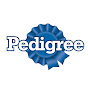 Pedigree YouTube channel avatar 